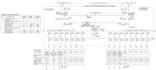 draw electrical drawing floor plan layout and panel diagram in autocad