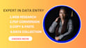do data entry and copy paste job