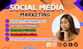 do monthly social media management content creation post scheduling