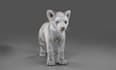 create 3d animation, 3d animal animation, character animation, 3d model