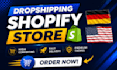 build a professional shopify store for your business