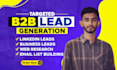 provide b2b lead generation web research and data enrichment