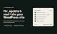 fix, update and maintain your wordpress website