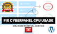 fix cyberpanel cpu usage and remove malware from it
