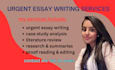 do urgent essay writing, article writing, research and summary writing