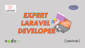 develop laravel website , fix bugs , add new features