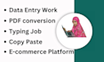 provide accurate and efficient data entry services