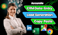 do expert data entry, mining, data extraction, copy paste, lead generation as VA