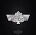 make aesthetics new flight simulator game logo