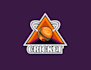 make icon innovative cricket brand logo