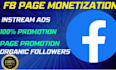 do fb marketing, fb ads campaign, fb page monetization, instagram ads services