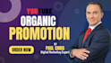 promote youtube channel to US and increase subscribers for channel monetization