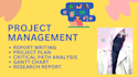 create professional project management documents and reports