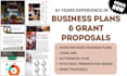 develop a detailed business plan for startups, proposal, business plan writer