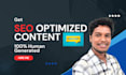 create high conversion SEO content, blogs and whitepapers for your brand
