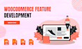 add custom features and optimize your woocommerce store professionally