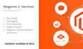 fix bugs, create  plugins, new features  related to magento 2
