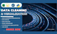 do data cleaning, mining, data analysis and visualization with phython and excel