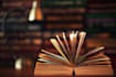 do sociology, gender studies, and human right projects