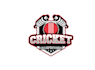 make wonderful cricket championship logo