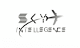 make traditional sky intelligence logo