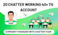 be telegram community manager or admin with 20 chatters for crypto project