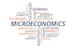 research economics, microeconomics, accounting, statistics analysis