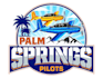 design wonderful airplane logo
