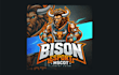 make amazing bison mascot logo with express delivery