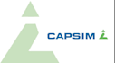 complete your capsim simulation project
