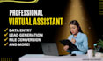 be your virtual assistant for data entry, lead generation, and file conversion