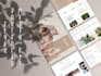 design professional media kit, flyer, portfolio