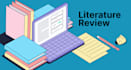 do expert critical analysis, review literature, critique