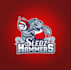 make sophisticated basketball team logo
