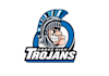 design high quality mascot school logo