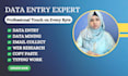 do e commerce data entry copy paste and web research