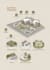 do concept diagram for architectural purposes