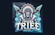 do frozen tribe mascot logo with source file in 12 hours