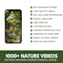 nature reels bundle, nature faceless video reels,