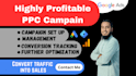 setup audit google ads adwords PPC campaign for highly profitable local business