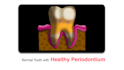 create dental illustrations for research papers, books