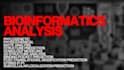 do advanced bioinformatics analysis for your research