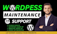provide wordpress website maintenance, update, fix, repair, safe guard your site
