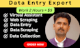 do data entry, data mining, scraping, data collection copy paste, web research