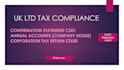 file UK ltd annual accounts, confirmation statement, ct600