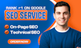do onpage SEO and technical optimization for your website