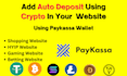 integrate auto deposit using paykassa wallet into your website