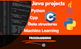 do java programming, python, cpp project, database, data structures, gui, oop