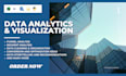 do data analysis and visualisation, web scraping, data mining and data cleaning