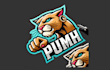 make puma mascot logo design with your choice